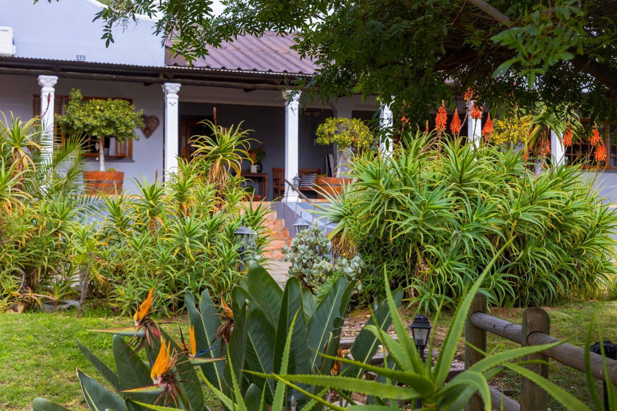 Thylitshia Villa Country Guest House Оудсхорн Экстерьер фото